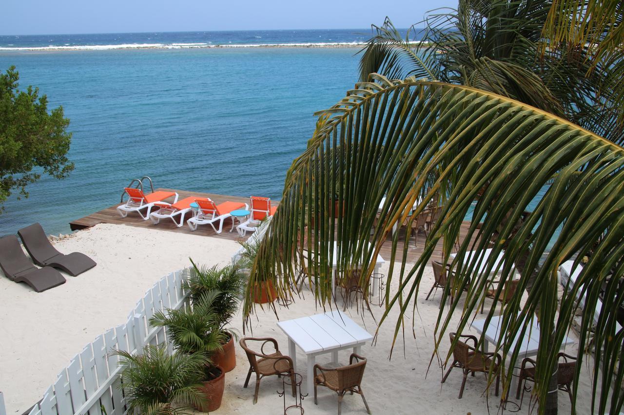 Coral Reef Beach Savaneta Exteriör bild