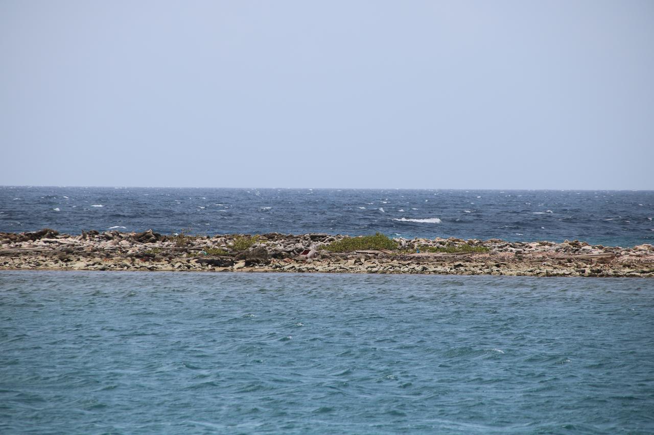 Coral Reef Beach Savaneta Exteriör bild